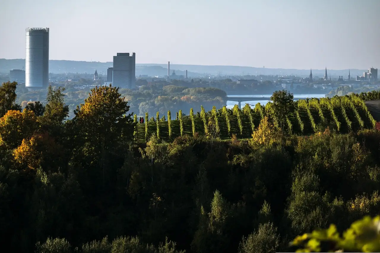 Bonn Werkzeug